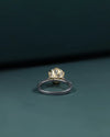 3.21 CT Round Brilliant CVD Lab-Grown Diamond Pave Engagement Ring